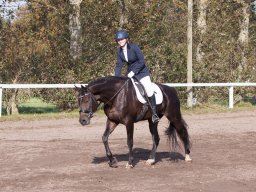 IMG_7828_web